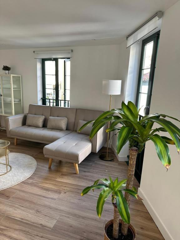 Apartamentos Urbanin II Plaza De San Pedro Cudillero Exteriér fotografie